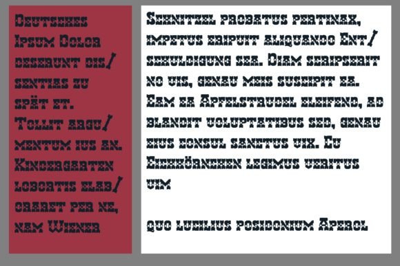 Hen Basket Homeland Font - Preview 6