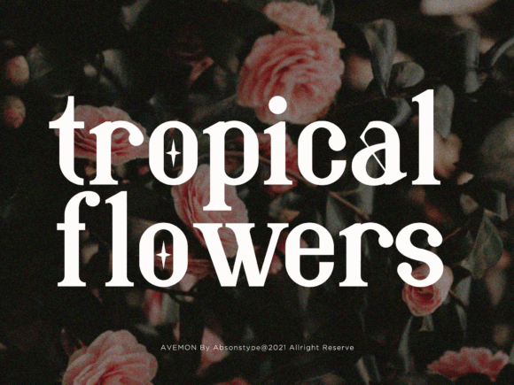 Avemon Font PNG with transparent background - Preview 2