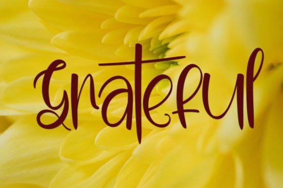 Butterfly Font - Preview 2