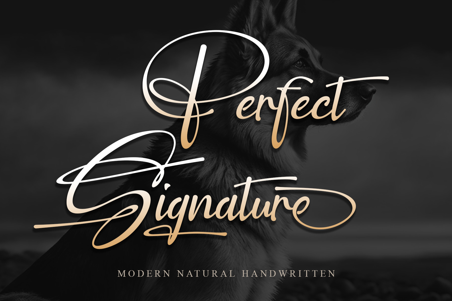 Perfect Signature preview - elegant flowing signature-style script