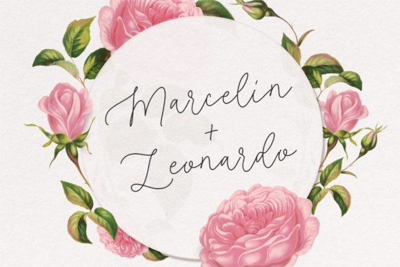 Roseline Font PNG with transparent background - Preview 2