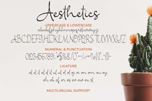 Aesthetics Font - Preview 6