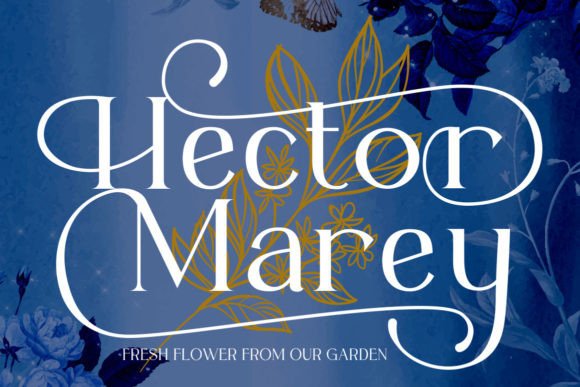 Dudley Castle Font - Preview 3