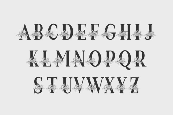 Monogram Daylita Font PNG with transparent background - Preview 2
