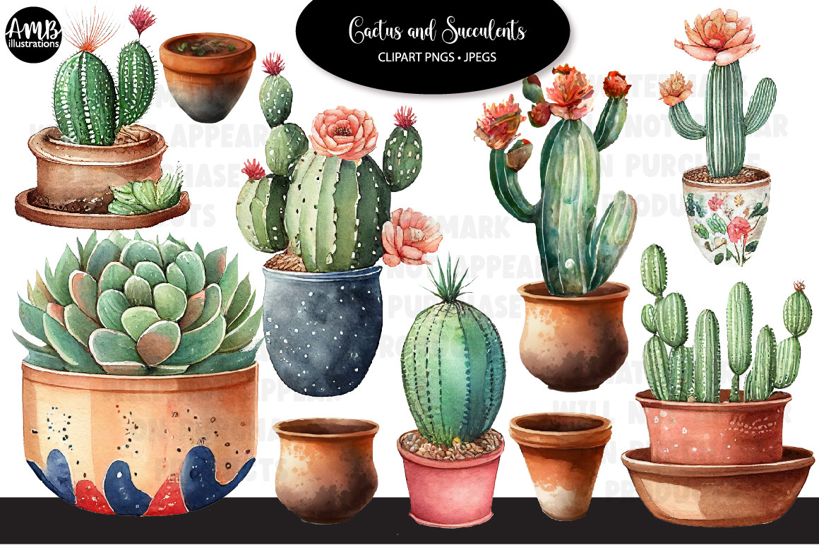 Cactus and Succulents Watercolour Clipar Graphic by AMBillustrations ...