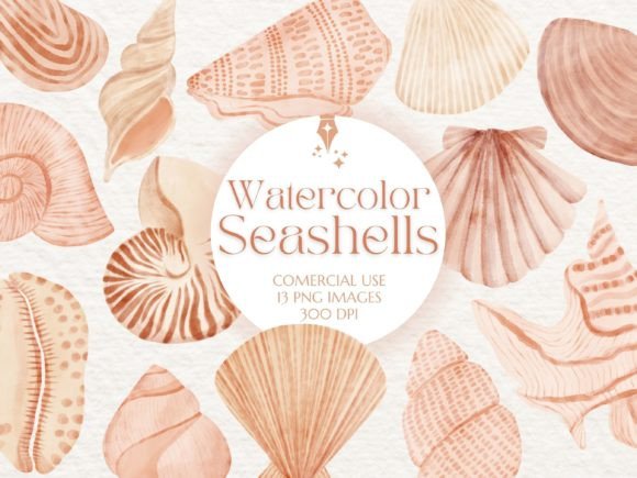 Neutral Watercolor Seashells Clipart Set Graphic Illustrations By HouseOfClipart