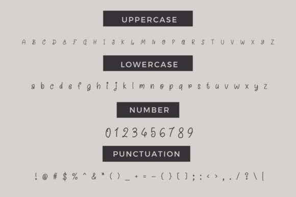 Anika Font - Preview 3