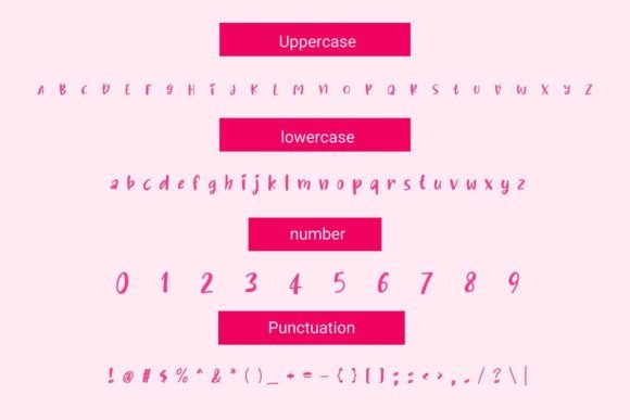 Baylor Font - Preview 3