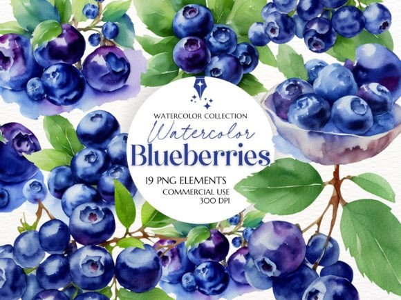 Watercolor Blueberries Clipart Set Graphic AI Illustrations By HouseOfClipart