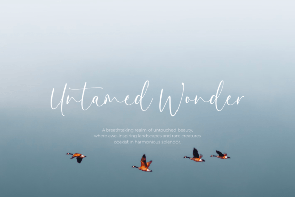 Affection Font - Preview 2