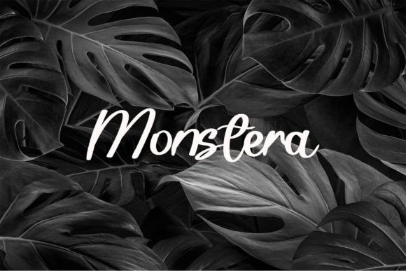 Blackbox Font - Preview 1