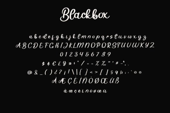 Blackbox Font - Preview 6