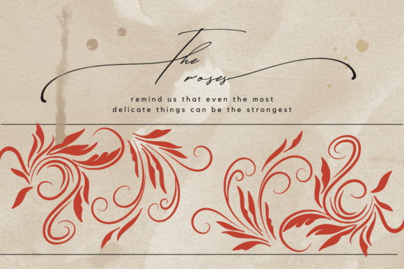 Flourish Font - Preview 2