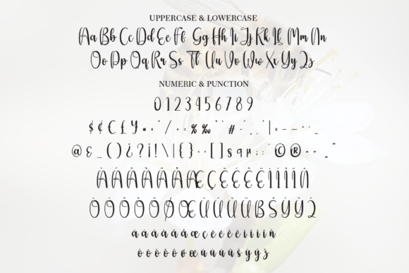 Beautybee Font - Preview 6