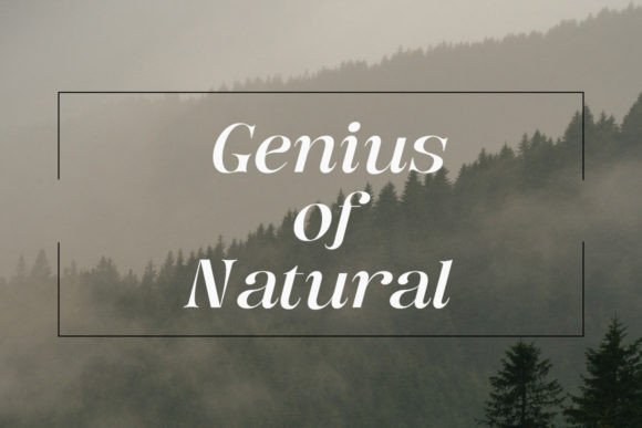 Bentoga Italic Font - Preview 5