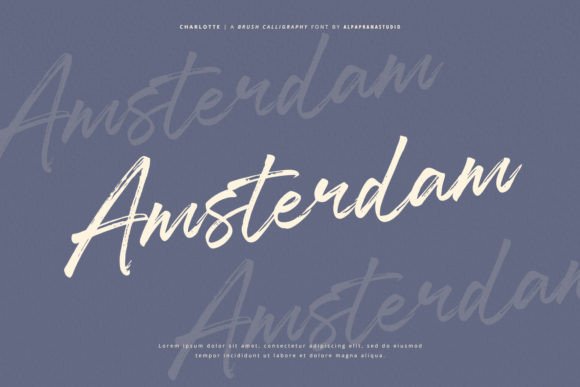 Charlotte Font - Preview 2