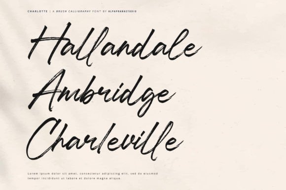Charlotte Font - Preview 6