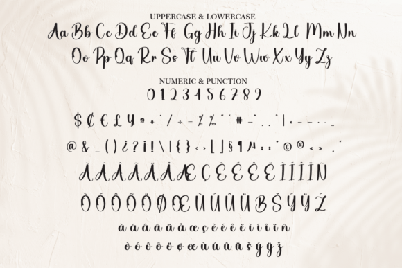 Dayton Font - Preview 6