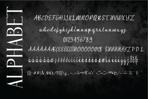 Continous Roll Font - Preview 4