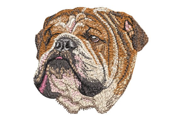 English Bulldog Dogs Embroidery Design By K&K Embroidery and Gifts