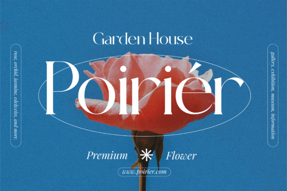 Mirage Against Font PNG with transparent background - Preview 1
