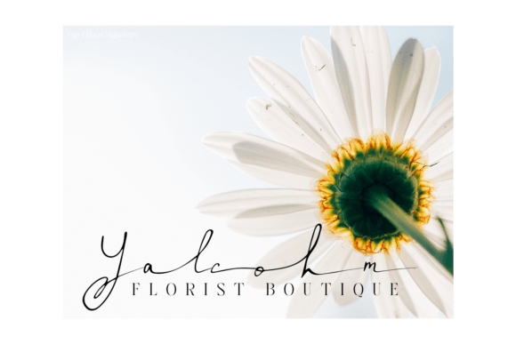 Nigel Roos Font PNG with transparent background - Preview 6