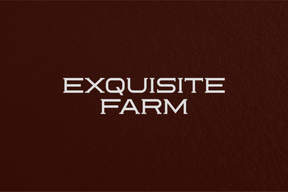 Reoctions Font PNG with transparent background - Preview 1