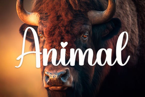 Buffalo Font - Preview 1