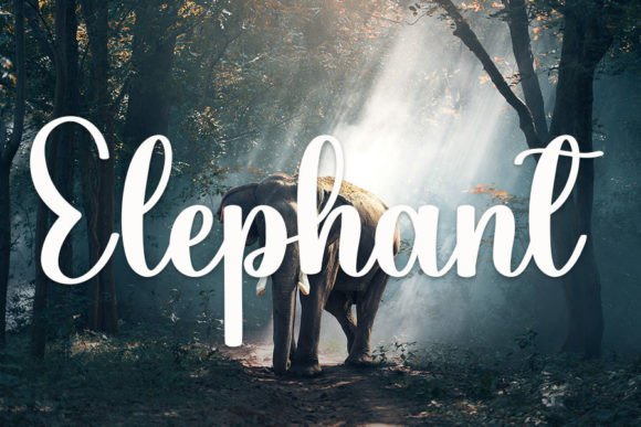 Buffalo Font - Preview 4