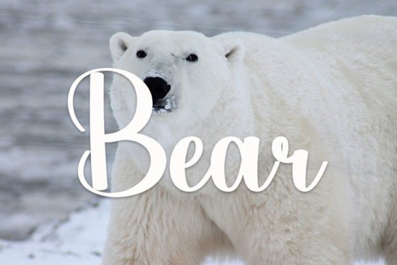 Buffalo Font - Preview 5
