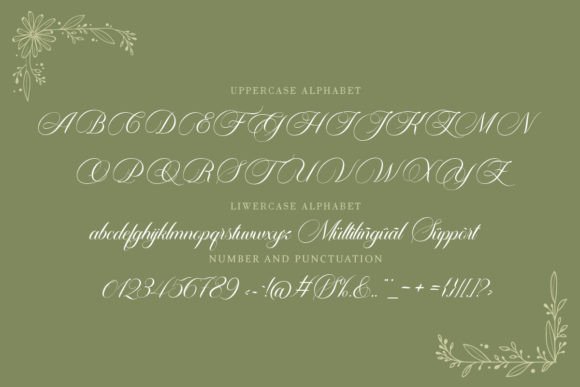 Carista Calligraphy Font - Preview 1