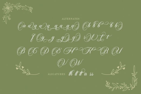 Carista Calligraphy Font - Preview 4