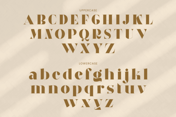 Eloora Font - Preview 5