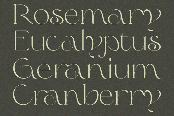 Olive & Citrus Font PNG with transparent background - Preview 1