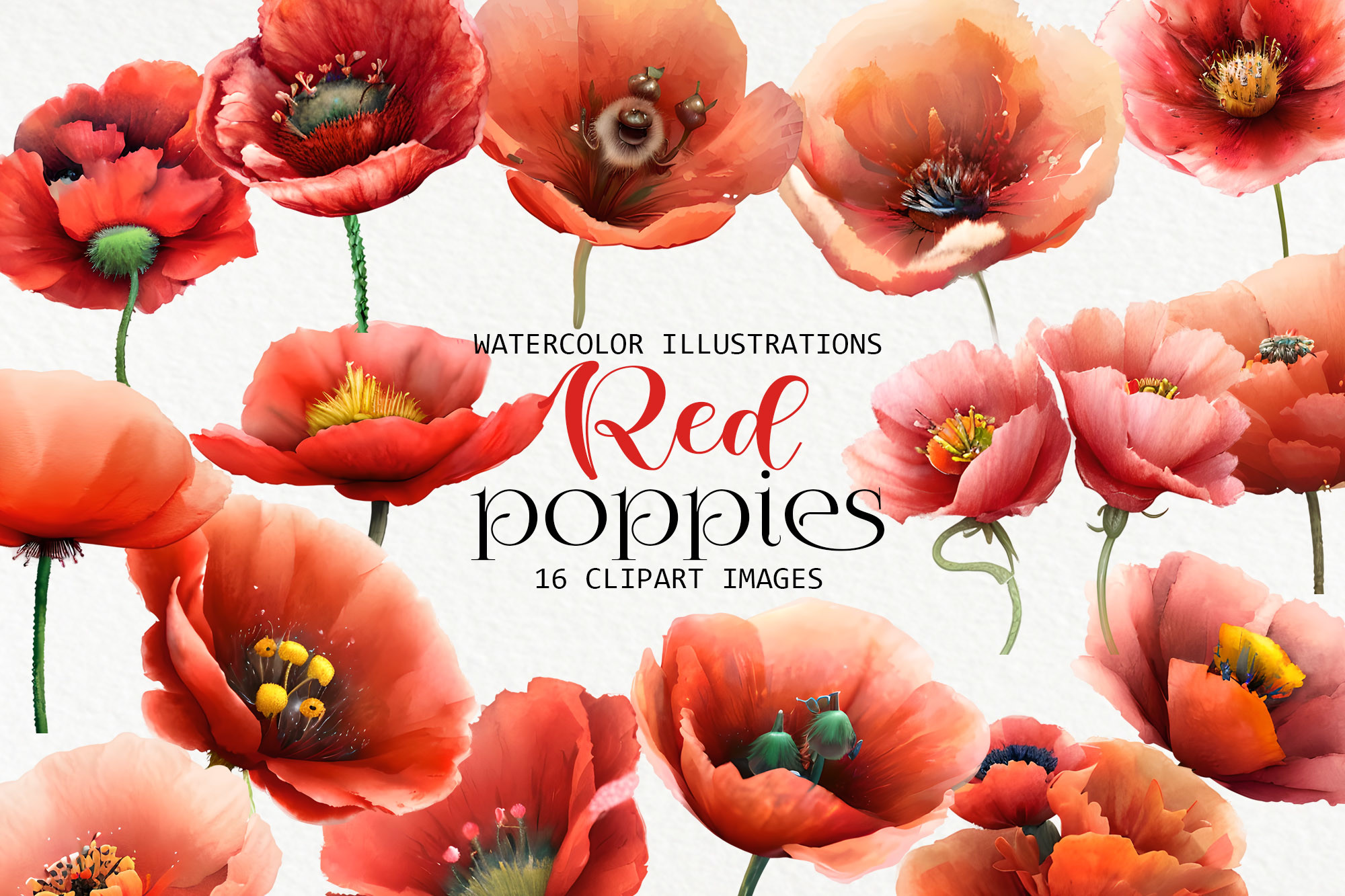 poppy c lip art Red Flower Clipart Graphic by NiftyCraftyHouse · Creative Fabrica L-Карнитин витамины для коррекции