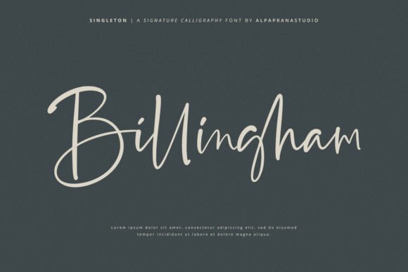 Singleton Font PNG with transparent background - Preview 2