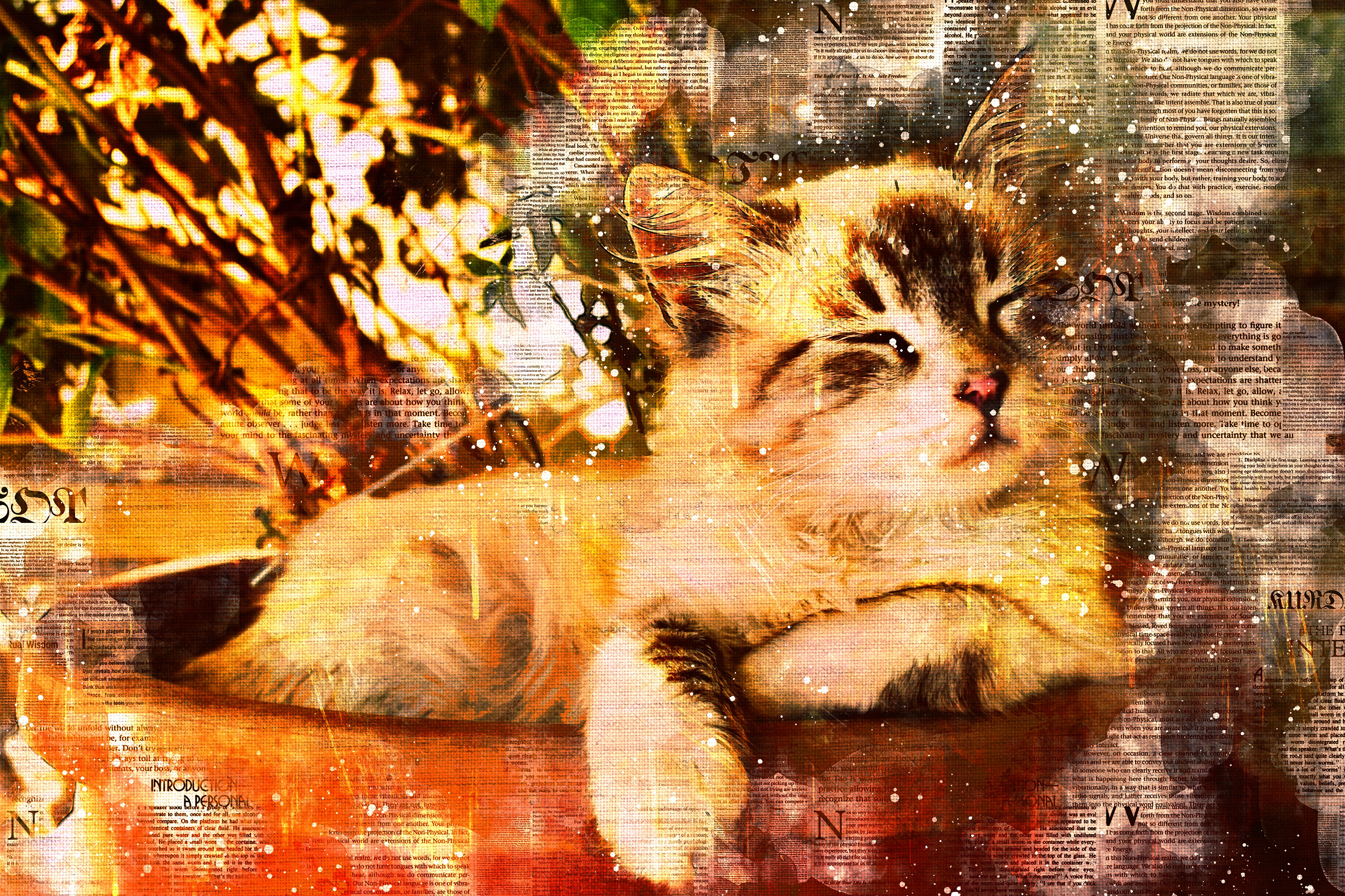 Printable Cat Graphics Pack# 12 Graphic by Devil Blues Cafe · Creative ...