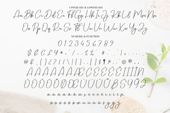 Beautyspa Font - Preview 6