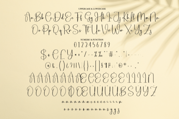 Best Signature Font - Preview 6