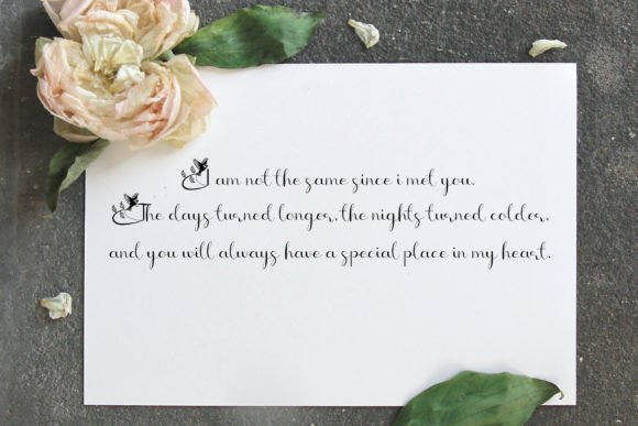 Bird Font - Preview 1