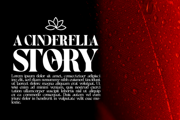 Allover Modern Font - Preview 3