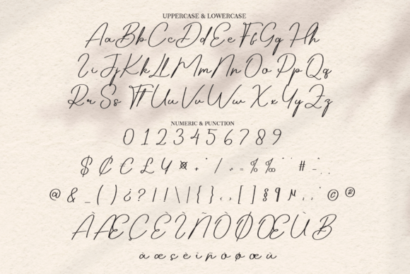 Audrey Signature Font - Preview 6