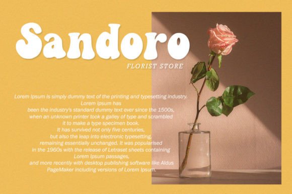 Canden Font - Preview 3