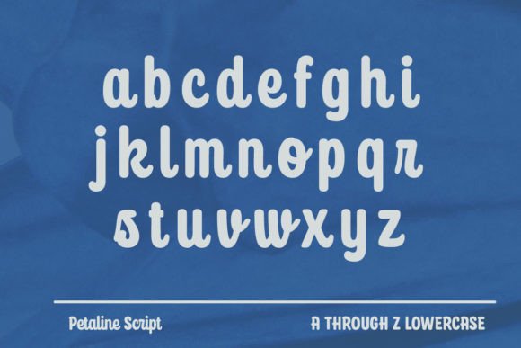 Petaline - Soft Script Font PNG with transparent background - Preview 3
