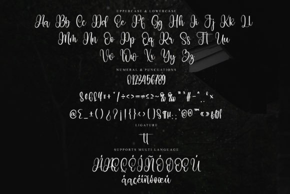 Gifter Font - Preview 5