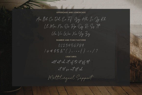 Kimberly Paradise Font - Preview 5
