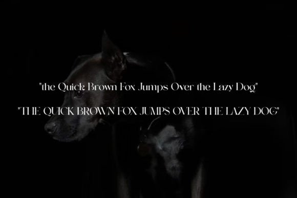 Angkle's Font - Preview 1