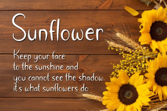 Farmerhouse Font - Preview 1