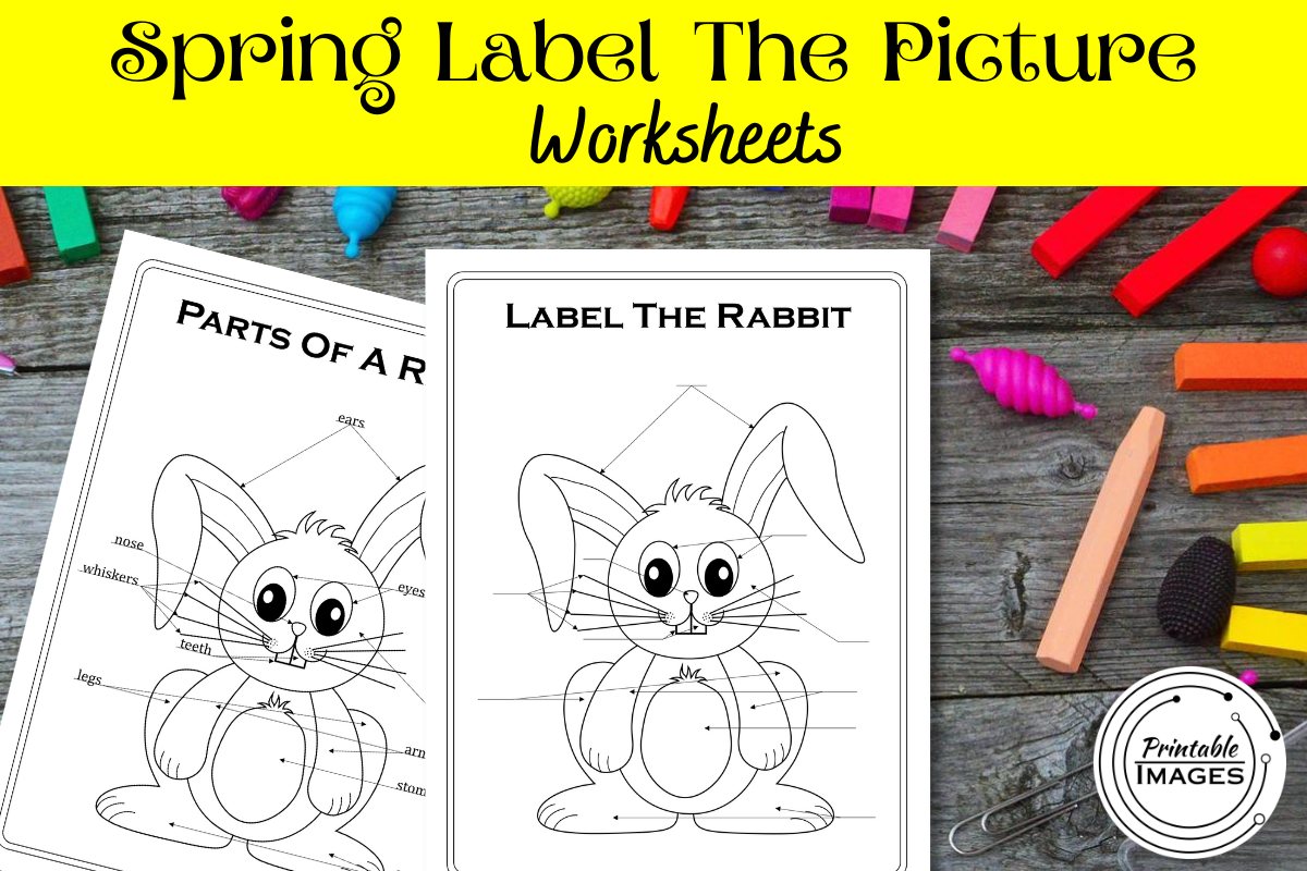 Label The Spring Label the Spring Pictures Graphic by Printable Images ยท Creative Fabrica