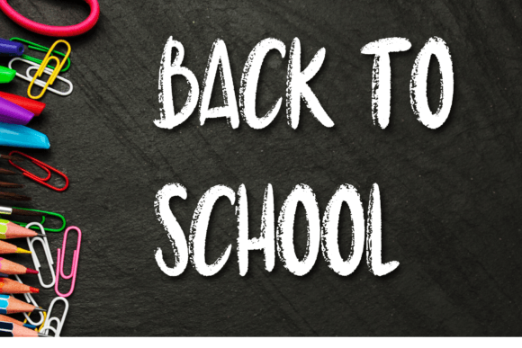 Little Chalk Font PNG with transparent background - Preview 1
